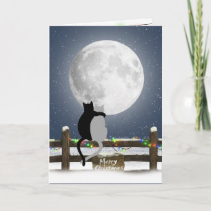 Merry Christmas Cats on a Winter Fence Holiday Card