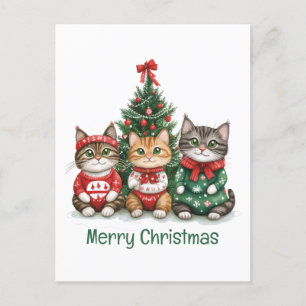 Merry Christmas Cats Postcard