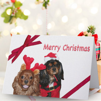 Merry Christmas Cavalier King Charles Red Ribbon Holiday Card