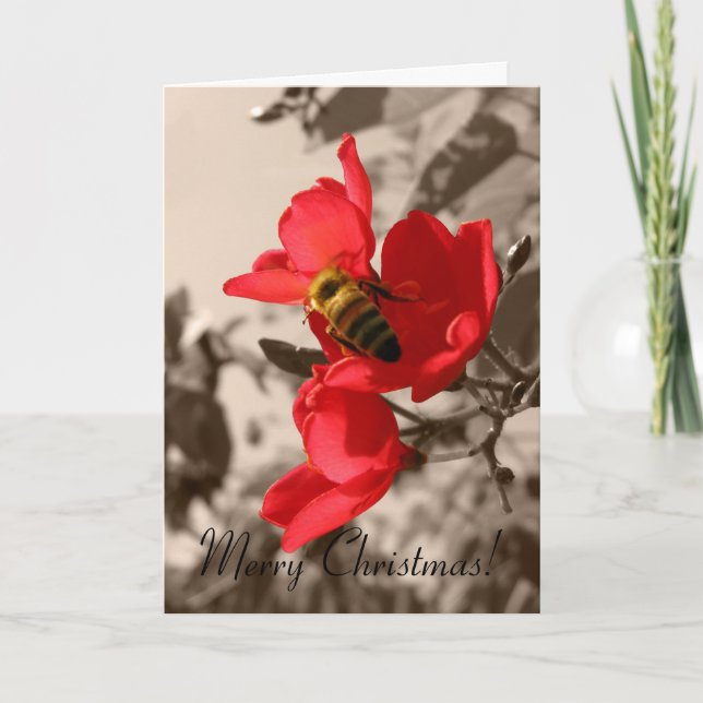 Merry Christmas - Christmas Card (Front)