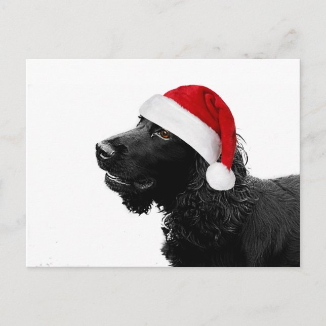 Merry Christmas Cocker Holiday Postcard (Front)