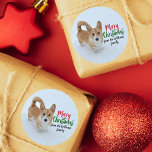 Merry Christmas Corgi Snow Photo Beautiful Custom Classic Round Sticker<br><div class="desc">This beautiful Corgi Christmas sticker features a pretty winter photo of a red and white Pembroke Welsh Corgi with a tail,  standing in the snow next to elegant typography reading Merry Christmas. Adorable holiday gift wrap accessory for a dog lover. Customize with your family name.</div>
