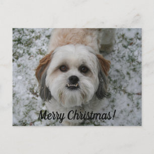Merry Christmas Customizable Postcard