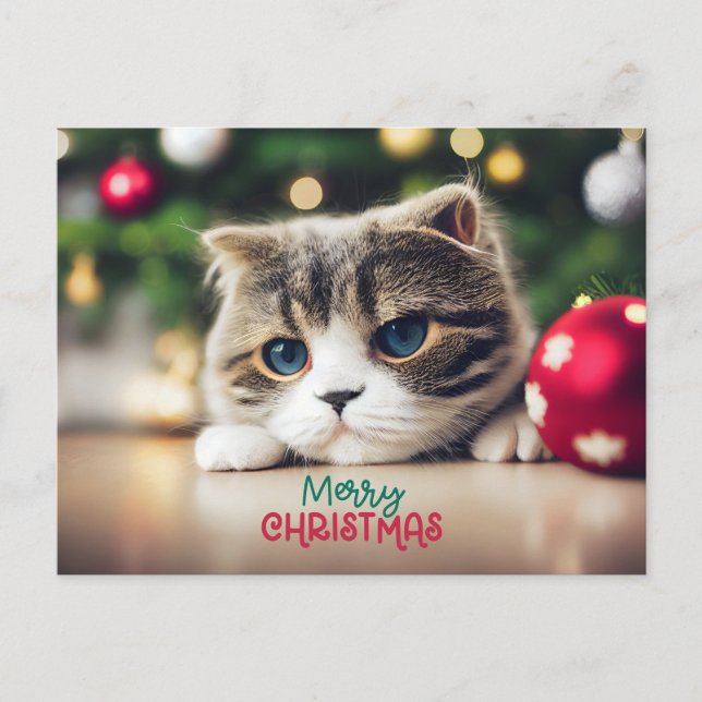 Merry Christmas Cute Cat with Blue Eyes  Holiday Postcard (Front)