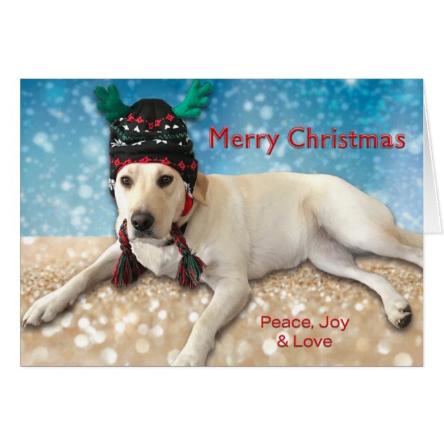Merry Christmas Cute Lab Dog Lab with Antlers (Front Horizontal)