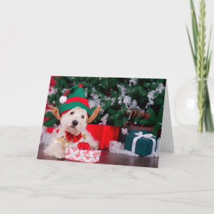 Merry Christmas Cute Puppy in Elf Costume Card