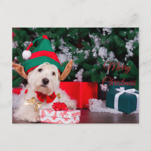 Merry Christmas Cute Puppy in Elf Costume Holiday Postcard