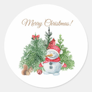 Merry Christmas Cute Snowman, Squirrel, Cardinal  Classic Round Sticker