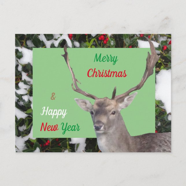 Merry Christmas Deer and Holly Postcard (Front)