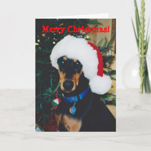Merry Christmas! Doberman Greeting Card