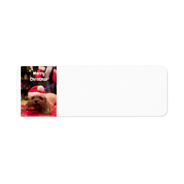 Merry Christmas Dog (Front)