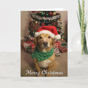 Merry Christmas Dog Card