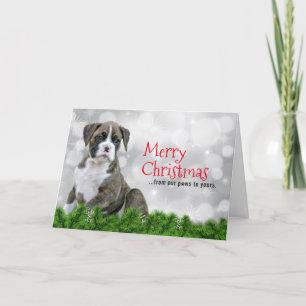 Merry Christmas Dog Cards - Boxer Holiday Dog