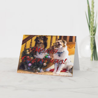 Merry Christmas Dogs Holiday Card