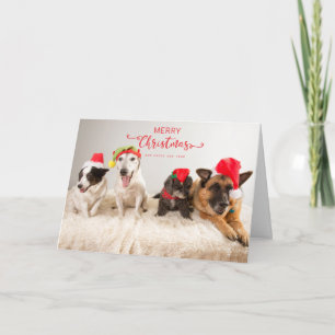 Merry Christmas Dogs in Santa Hats Card
