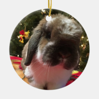 Merry Christmas every bun! Ceramic Ornament