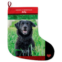 Merry Christmas Family Pet Photo