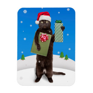 Merry Christmas For Anyone Black Cat With Gifts   Magnet