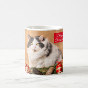 Merry Christmas For Anyone Cute Cat Coffee Mug