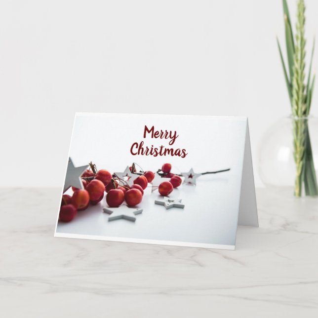 *MERRY CHRISTMAS* FOR ANYONE THIS YEAR! HOLIDAY  (Front)