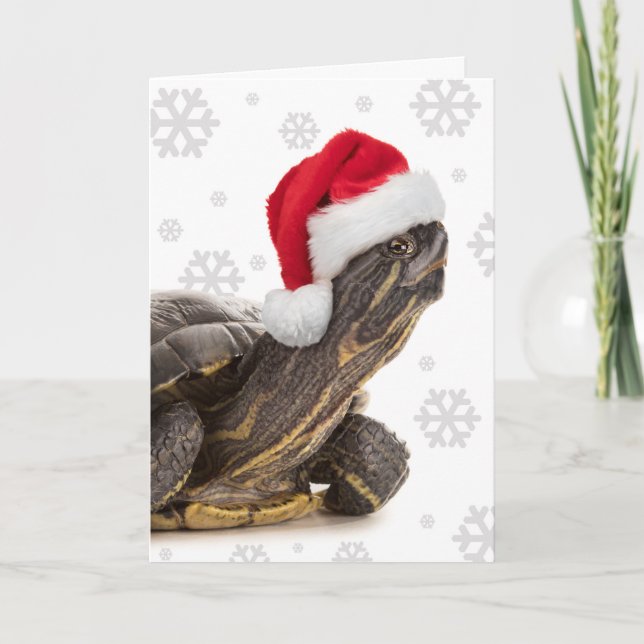 Merry Christmas For Anyone Turtle in Santa Hat Holiday Card (Front)