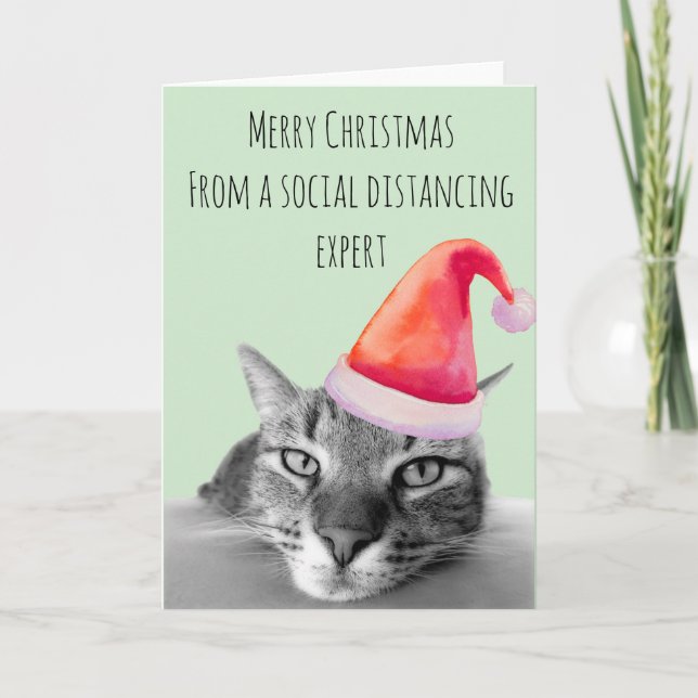 Merry Christmas form Social Distancing Expert Cat Card (Front)