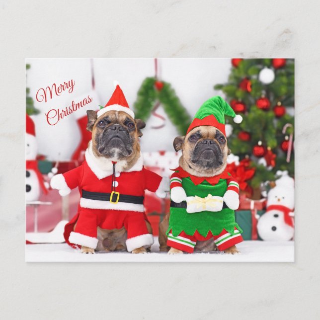 Merry Christmas French Bulldogs Santa and Elf  Holiday Postcard (Front)