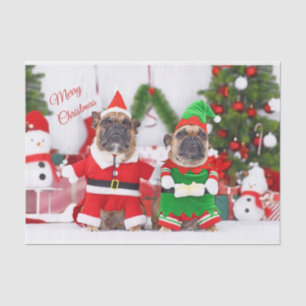 Merry Christmas French Bulldogs Santa and Elf  Tissue Paper