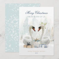 Merry Christmas from Both of Us Swans Holiday Card