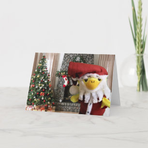 Merry Christmas from Danny Duck  Announcement