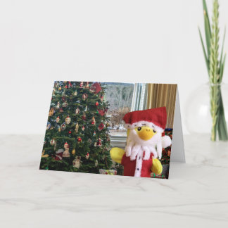 Merry Christmas from Danny Duck  Announcement