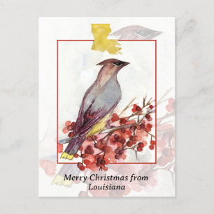 Merry Christmas from Louisiana Cedar Waxwing Bird Holiday Postcard