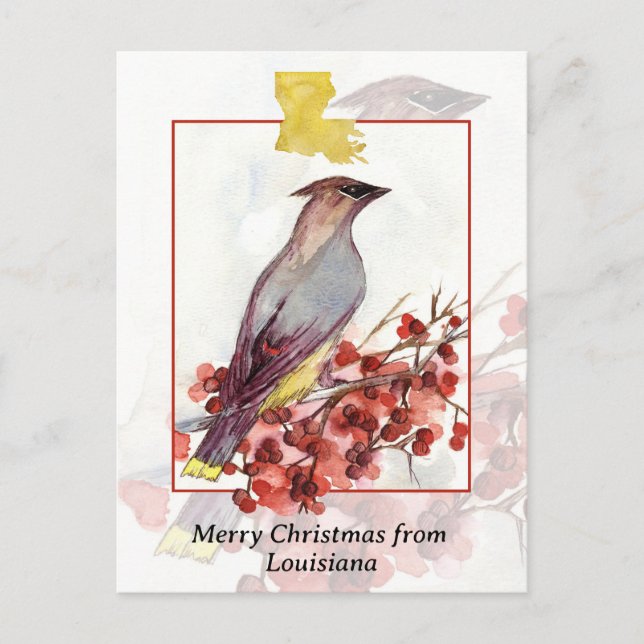 Merry Christmas from Louisiana Cedar Waxwing Bird Holiday Postcard (Front)