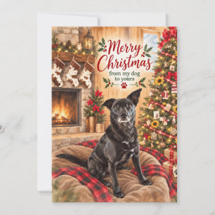 Merry Christmas From My Dog to Yours Holiday Card