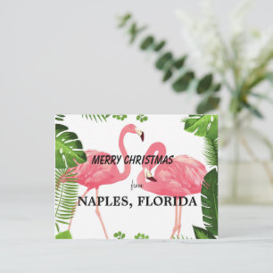 Merry Christmas from Naples, Florida Postcard