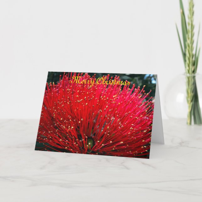 Merry Christmas from New Zealand Holiday Card (Front)