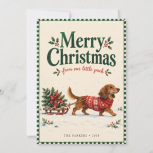 Merry Christmas From Our Little Pack Dog Lover Holiday Card