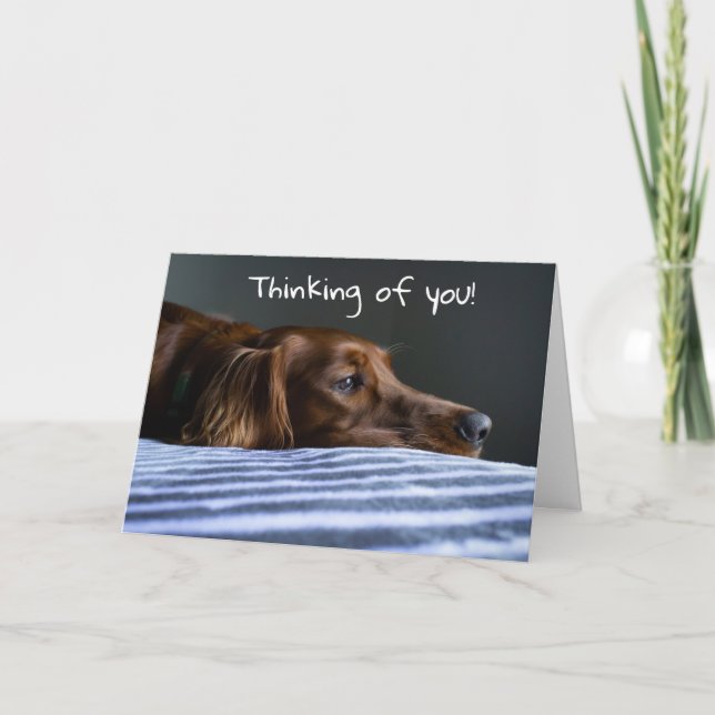 "MERRY CHRISTMAS" FROM SWEET PUP HOLIDAY CARD (Front)