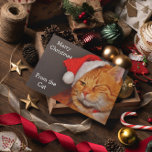 Merry Christmas from the Cat Holiday Card<br><div class="desc">This funny cat Christmas card will make the day of cat lovers and non-cat lovers alike. The outside of the card features an orange tabby cat wearing a red Santa had and winking. Next to the cat are the words in white letters, "Merry Christmas From the Cat" and inside the...</div>