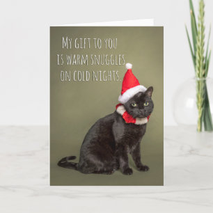 Merry Christmas From The Cat Humour  Holiday Card