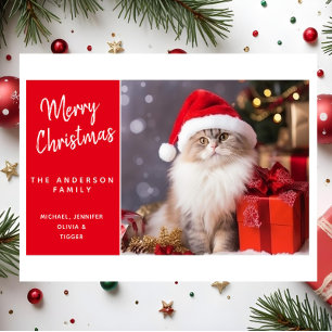 Merry Christmas from the Cat in a Santa Hat Holiday Card