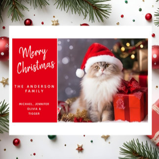 Merry Christmas from the Cat in a Santa Hat Holiday Card
