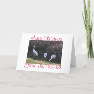 Merry Christmas From The Cranes! Holiday Card