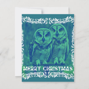 Merry Christmas from the Owls Green Card