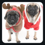 Merry Christmas from the Pugs Square Sticker<br><div class="desc">Holiday Chinese Pug dogs Design</div>