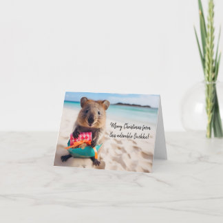 Merry Christmas from this Adorable Quokka -  Card