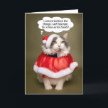 Merry Christmas Funny Cat Dressed in Santa Clothes Holiday Card<br><div class="desc">Send this annoyed but adorable kitty dressed up in her holiday best thinking to herself that she cannot believe what she will tolerate for few extra treats to make someone laugh when you wish them a Merry Christmas!</div>