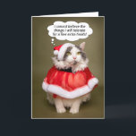 Merry Christmas Funny Cat Dressed in Santa Clothes Holiday Card<br><div class="desc">Send this annoyed but adorable kitty dressed up in her holiday best thinking to herself that she cannot believe what she will tolerate for few extra treats to make someone laugh when you wish them a Merry Christmas!</div>