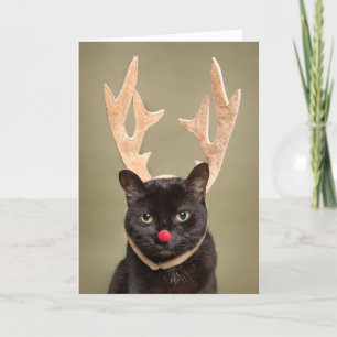 Merry Christmas Funny Cat in Reindeer Antlers Holiday Card
