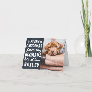 Merry Christmas Funny Modern Pet Custom Photo Holiday Card